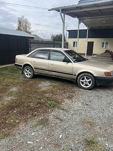 ун басандаткыч: Audi 100: 1991 г., 2.5 л, Кол менен иштөөчү, Дизель, Седан — 6