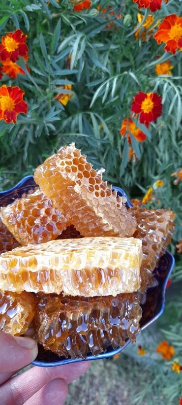 Bal: Qax Dağ Sarıbaş balı Qax Dağ Sarıbaş balı! Təbii, qatqısız, ekoloji -da lalafo.az — 8 Bal: Qax Dağ Sarıbaş balı Qax Dağ Sarıbaş balı! Təbii, qatqısız, ekoloji — 8