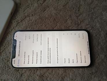 Apple iPhone: IPhone 12 Pro, Б/у, 128 ГБ, Серебристый, Чехол, 100 % — 6
