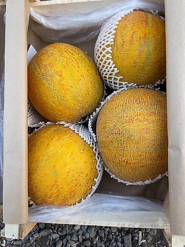 персик: Свежие фрукты: Персики и Виноград | Прямые поставки из Узбекистана 🍑 — 4