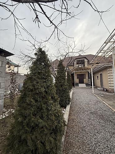 Продажа коттеджей и домов: 🏡Продаётся уютный дом в отличном районе! Район:Алтын ордо — 18