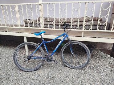Şəhər velosipedləri: İşlənmiş Şəhər velosipedi 29", Ödənişli çatdırılma