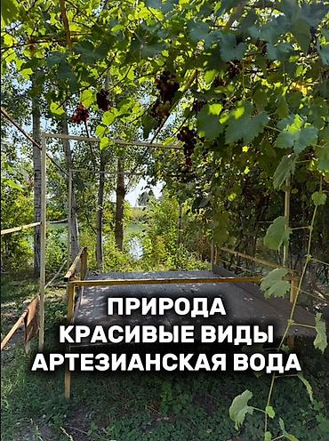 чоктал комната: Чистые пруды — пространство для отдыха на свежем воздухе. - Большой — 5