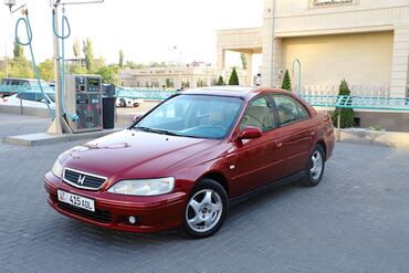 туманик хонда фит: Honda Accord: 1999 г., 1.8 л, Автомат, Бензин, Седан