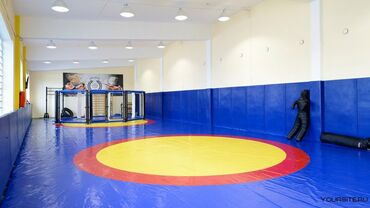 Другое для спорта и отдыха: Дзюдо татами Мат Мат Мат 1)Дзюдо маты 2)Маты борцовские UWW — 8