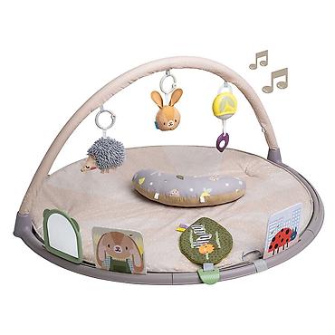 dexy co obuca za devojcice: Taf Toys muzička gimnastika Šifra proizvoda: 2211 Inovativna, bogato — 1