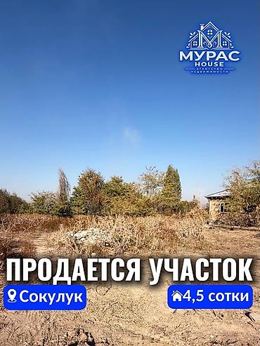 участо: 4 соток, Курулуш — 1