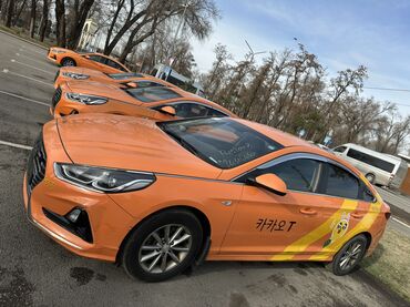 Hyundai: Hyundai Sonata: 2019 г., 2 л, Автомат, Газ, Седан — 14