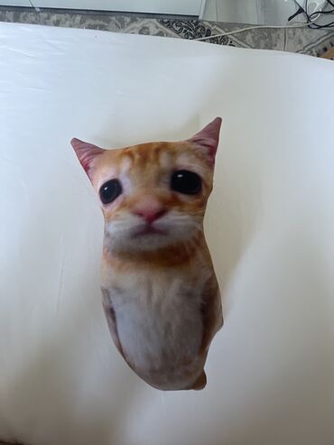 бамбук бишкек: Плюшевый котенок El gato не Б/У слегка порванная сторона продам за