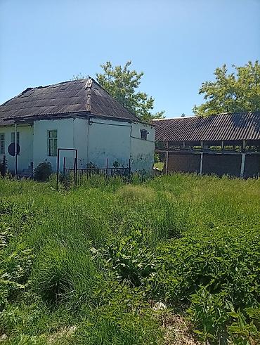Torpaq sahələrinin satışı: 38 sot, Mülkiyyətçi, Kupça (Çıxarış) — 25