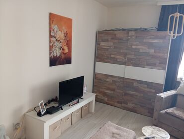 Stan na dan: Studio-stan — 3