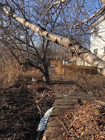 Продажа коттеджей и домов: Дом с участком и садом - район Аламедин -асфальтированная дорога к — 1