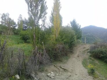 Torpaq sahələrinin satışı: 16 sot, Tikinti, Mülkiyyətçi, Kupça (Çıxarış) — 2