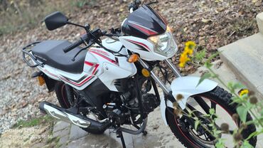 Motosikletlər: - Nnb-N49, 110 sm3, 2024 il, 16000 km — 8