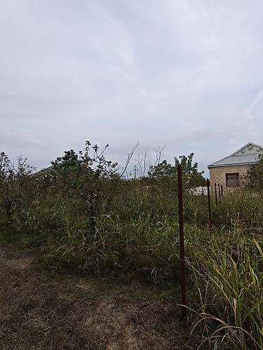 7 ci mikrorayon yeni tikili: 12 sot, Kənd təsərrüfatı, Barter mümkündür, Kupça (Çıxarış) — 5