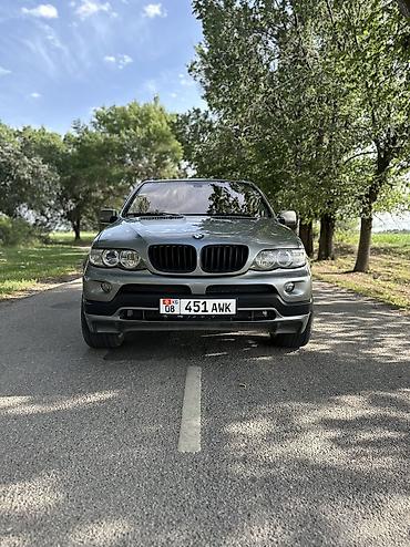 BMW X5: 2004 г., 4.4 л, Автомат, Бензин, Кроссовер