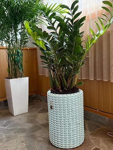 Горшки для растений: Плетеные кашпо, горшок для цветов различных форм и размеров,ручная — 3