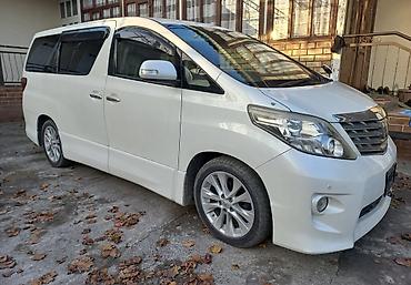rota grid: Toyota Alphard: 2008 г., 3.5 л, Автомат, Бензин, Минивэн — 10