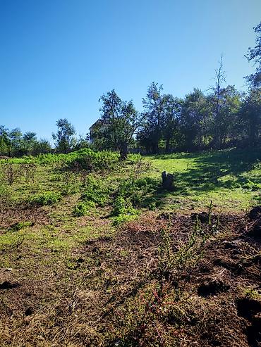 Torpaq sahələrinin satışı: Kənd təsərrüfatı — 8