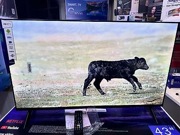 Телевизоры: 🔥🔥АКЦИЯ ‼️👍🔥 У НАС САМЫЙ НИЗКИЙ ЦЕНЫ. АКЦИЯ!!! SAMSUNG 43 Дюм at lalafo.kg — 11 Телевизоры: 🔥🔥АКЦИЯ ‼️👍🔥 У НАС САМЫЙ НИЗКИЙ ЦЕНЫ. АКЦИЯ!!! SAMSUNG 43 Дюм — 11