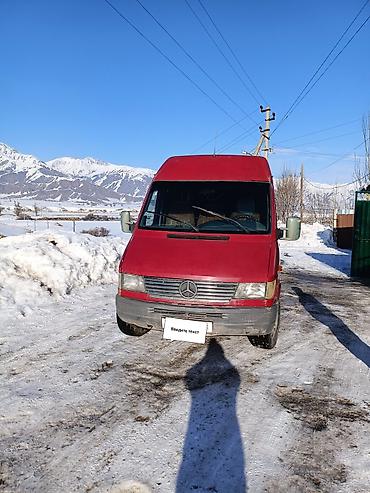 Mercedes-Benz: Mercedes-Benz Спринтер: 1998 г., 2.9 л, Механика, Дизель, Бус — 1