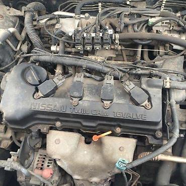 Steering & Suspension System: VILJUSKE ZA NISSAN ALMERA N16 | Zvati od 8-22h i nedeljom. Cena je — 1