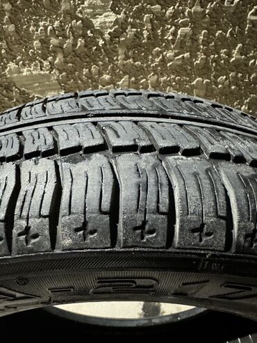 купить шины на камаз в бишкеке: Шиналар 175 / 65 / R 14, All-season, Колдонулган, 1 даана, Жеңил унаалар, Орусия, Kama