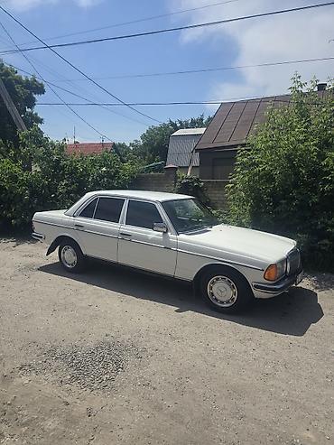 mers e210: Mercedes-Benz W123: 1985 г., 2.3 л, Автомат, Бензин, Седан — 10