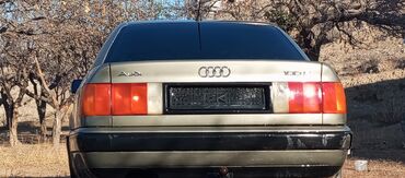 Audi: Audi 100: 1993 г., 2.3 л, Механика, Бензин, Седан — 1