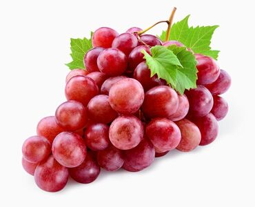 топчан из дерева: Обрезка винограда