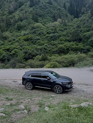 решотка родиатора: Kia Sorento: 2021 г., 2.2 л, Автомат, Дизель, Кроссовер — 9