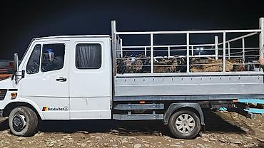 ось: Mercedes-Benz T1: 1989 г., 2.9 л, Механика, Дизель, Пикап — 5