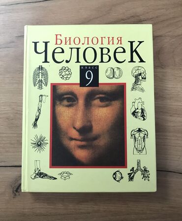 книга python: Английский-300!