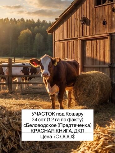 жер уй аренда: 120 соток, Курулуш, Кызыл китеп, Техпаспорт, Сатып алуу-сатуу келишими