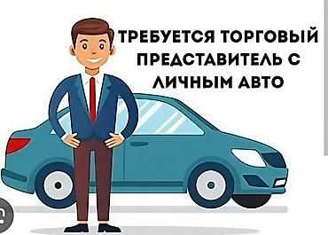 частный охрана: Вакансия: торговый Van- агент с личным автомобилем. Работа по городу — 1