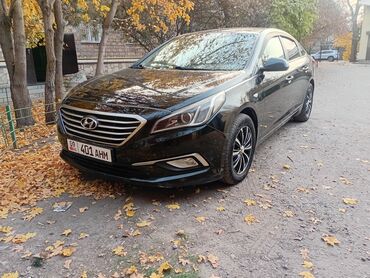фары на сонату: Hyundai Sonata: 2016 г., 1.9 л, Автомат, Газ, Седан