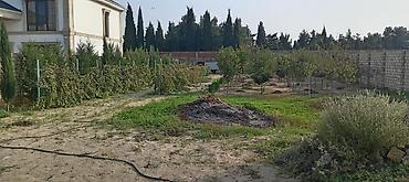 damci suvarma: Torpag sahesi:12 sot, paket kupca 7 sot kupcaya daxil,5 sot elave - — 4