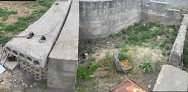 кок талаа: 11 соток, Айыл чарба үчүн, Кызыл китеп — 3
