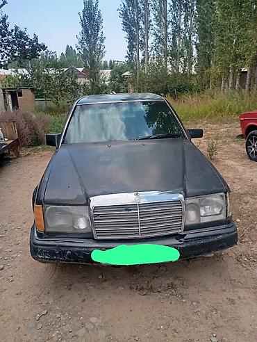 ауди 2 6 машына: Mercedes-Benz W124: 1989 г., 2.3 л, Кол менен иштөөчү, Бензин, Седан — 1