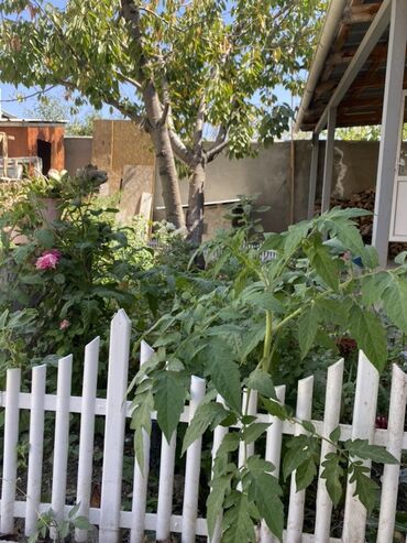 Продажа домов: Дом, 210 м², 5 комнат, Собственник, Дизайнерский ремонт — 31