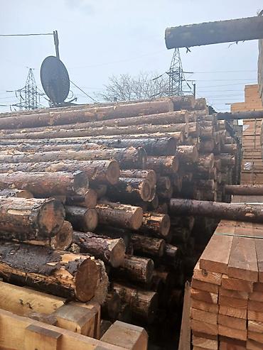 şam: Məhsul: Şam ağacından yumru dirəklər və taxta materialları Təsvir: - — 1