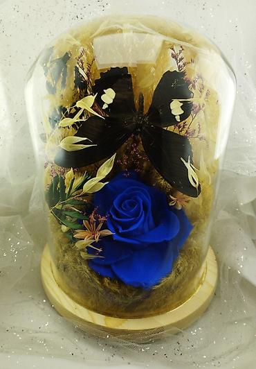 Организация мероприятий: Живые розы которые не завянут даже через год!!! Красивые цветы для — 6