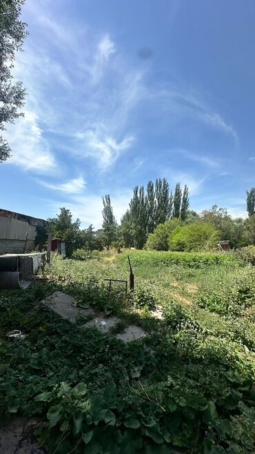 Продажа домов: Дом, 200 м², 5 комнат, Собственник, Старый ремонт at lalafo.kg — 19 Продажа домов: Дом, 200 м², 5 комнат, Собственник, Старый ремонт — 19