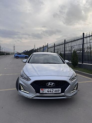 дн 8 соната 2019: Hyundai Sonata: 2019 г., 2 л, Автомат, Газ, Седан — 2