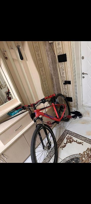 velosiped motor: Barter yalnız iphone 13 pro İdman/dağ velosipedi – Isma tornado 7.3 — 7