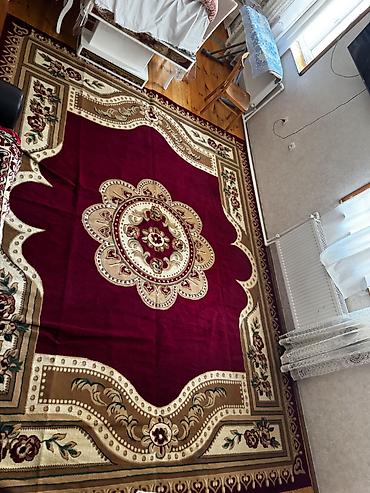 asilqan satilir: 50 azn
Yenı kimidir
300*400 — 2