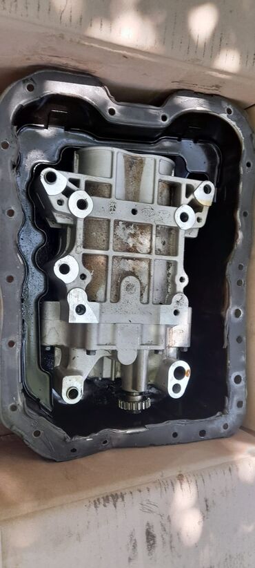 Motor üçün digər detallar: Mühərrikin yağ nasosu və yağ qəbuledicisi. Avtomobil mühərrikinin