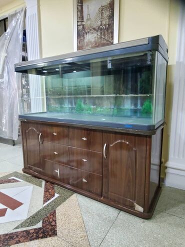 аквариум рыба: Срочно продаю аквариум