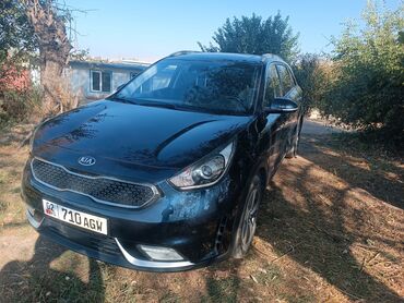 каробка форд фокус: Kia Niro: 2019 г., 1.6 л, Автомат, Гибрид, Кроссовер