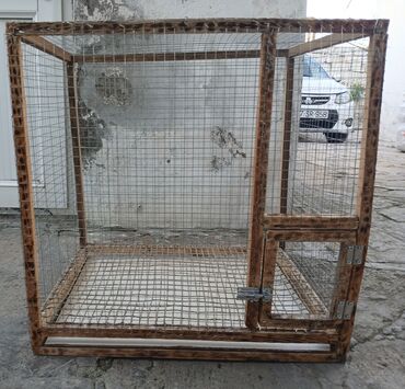 Geyimlər: Salam tutuquşu,ücün qəfəs satılır 60×60 ölcüdə isdiyən olsa vatsapla